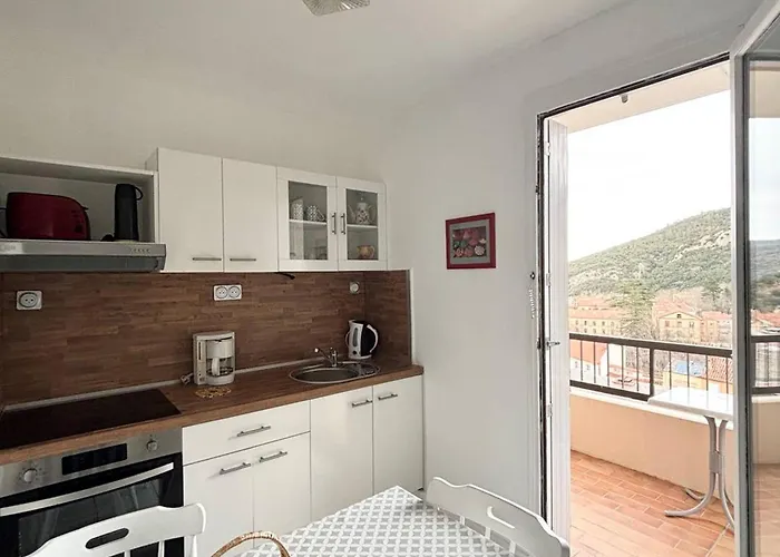 Appartement F2 Avec Balcon Et Parking A 50m Des Thermes, Centre-ville - Animaux Acceptes - Fr-1-703-125 Amélie-les-Bains-Palalda